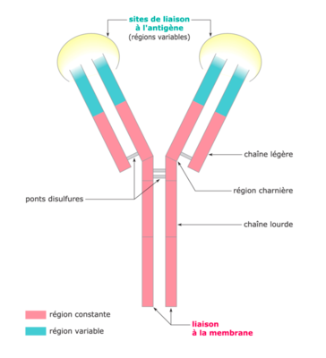 Capture d’écran 2019-10-24 à 17.35.43.png
