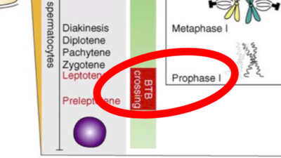 Capture d’écran 2019-10-24 à 19.09.21.png