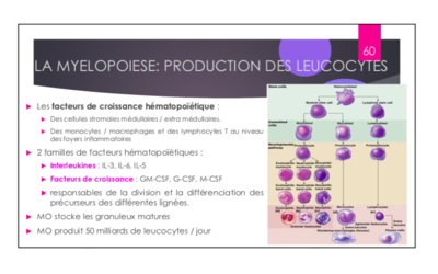 Capture d’écran 2019-10-27 à 10.04.37.png