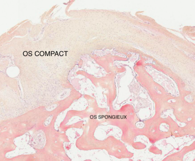 Capture d’écran 2019-10-27 à 10.23.01.png