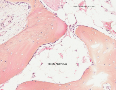 Capture d’écran 2019-10-27 à 10.23.22.png