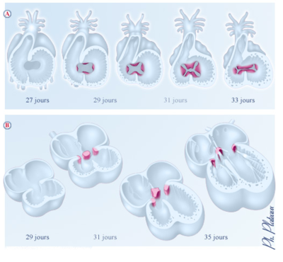 Capture d’écran 2019-10-27 à 17.19.28.png