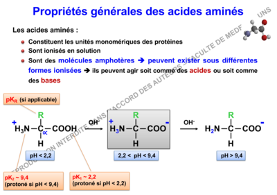 Capture d’écran 2019-10-27 à 22.57.52.png