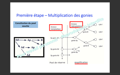 Capture d’écran 2019-10-28 à 10.05.48.png