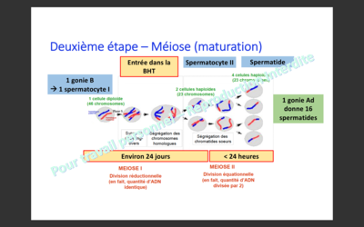 Capture d’écran 2019-10-28 à 10.05.55.png