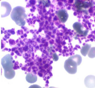 Capture d’écran 2019-10-29 à 10.59.30.png