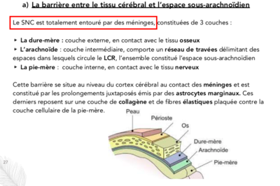 Capture d’écran 2019-10-29 à 18.13.47.png