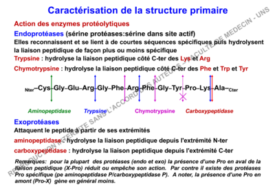 Capture d’écran 2019-10-31 à 15.05.47.png