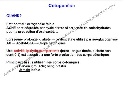 Diapo corps cétoniques.jpg