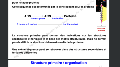 Capture d’écran 2019-10-31 à 22.24.02.png