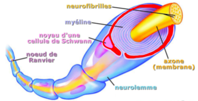 Capture d’écran 2019-11-02 à 10.51.43.png