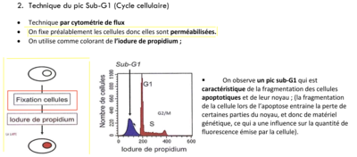 Capture d’écran 2019-11-03 à 11.53.01.png
