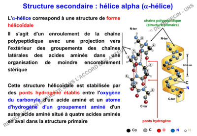 Capture d’écran 2019-11-05 à 10.57.11.png