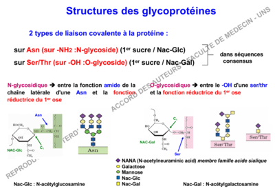 Capture d’écran 2019-11-05 à 15.23.01.png