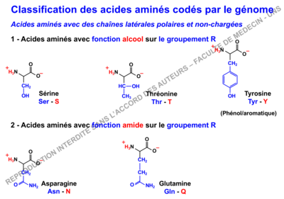 Capture d’écran 2019-11-05 à 16.34.50.png
