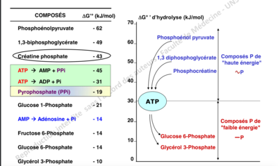 Capture d’écran 2019-11-05 à 20.30.49.png