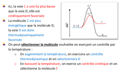 Capture d’écran 2019-11-06 à 18.17.15.png
