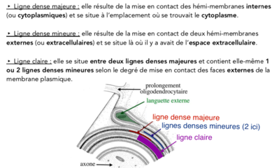 Capture d’écran 2019-11-06 à 18.36.18.png