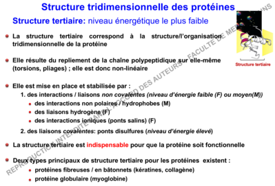Capture d’écran 2019-11-06 à 21.30.23.png