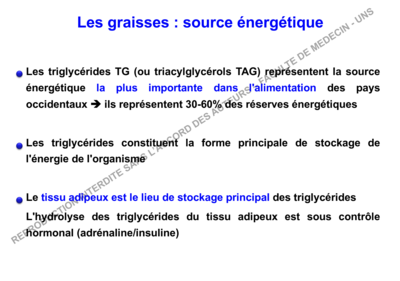 Capture d’écran 2019-11-06 à 22.00.48.png