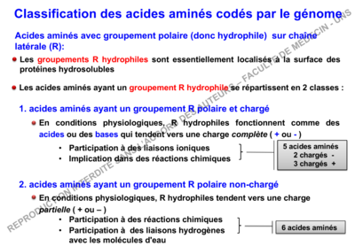 Capture d’écran 2019-11-06 à 22.17.48.png