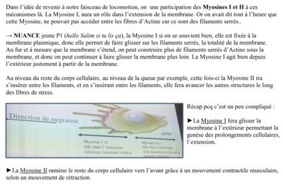 Capture d’écran 2019-11-07 à 13.03.24.png