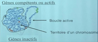 Capture d’écran 2019-11-07 à 13.39.04.png