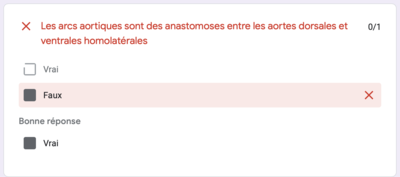 Capture d’écran 2019-11-07 à 18.03.18.png