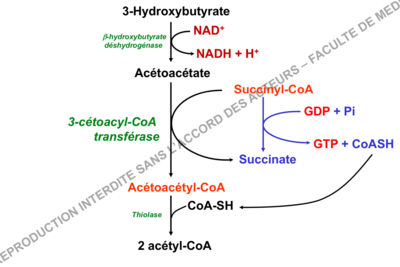 Capture d’écran 2019-11-07 à 20.45.10.png
