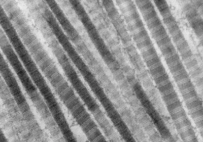 Capture d’écran 2019-11-09 à 12.11.34.png