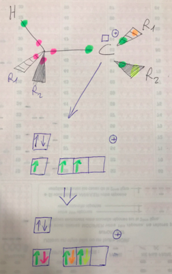 Capture d’écran 2019-11-10 à 17.41.14.png