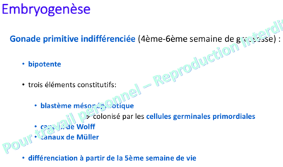 Capture d’écran 2019-11-10 à 21.57.17.png