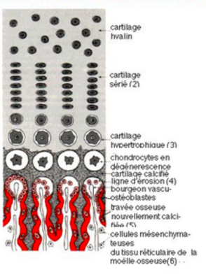 Capture d’écran 2019-11-11 à 21.03.25.png