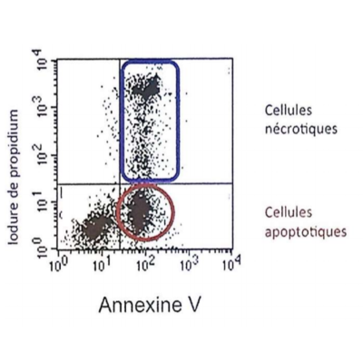Capture d’écran 2019-11-11 à 22.26.02.png