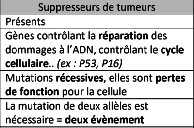 Capture d’écran 2019-11-11 à 22.30.31.png