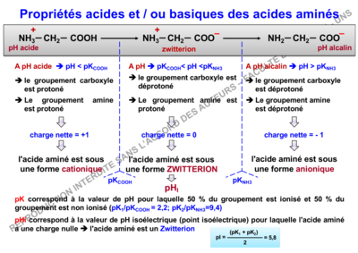 Capture d’écran 2019-11-12 à 11.05.13.png