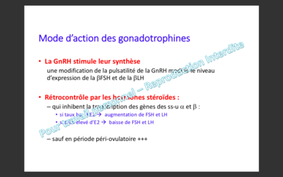 Capture d’écran 2019-11-12 à 15.32.49.png