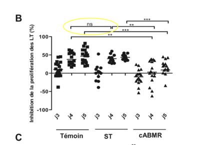 Capture d’écran 2019-11-13 à 00.28.51.png