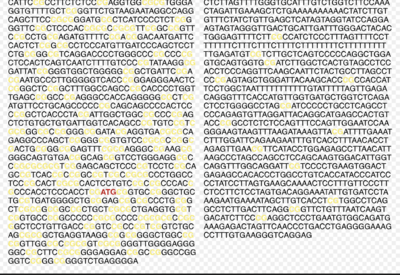 Capture d’écran 2019-11-13 à 15.14.24.png