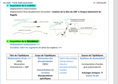 Capture d’écran 2019-11-13 à 18.56.02.png