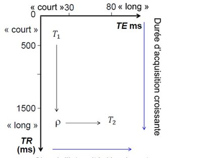 Annotation 2019-11-14 154126.jpg