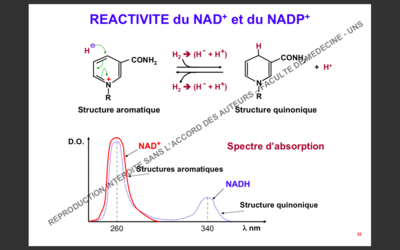 Capture d’écran 2019-11-15 à 09.39.51.png