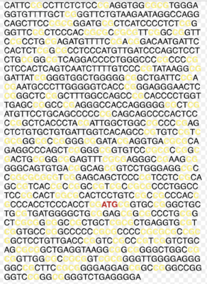 Capture d’écran 2019-11-15 à 11.18.14.png