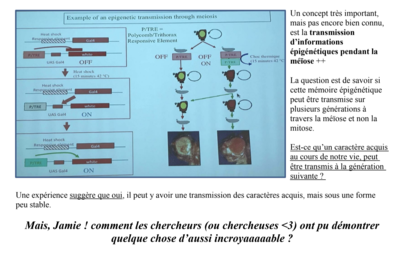 Capture d’écran 2019-11-15 à 13.30.38.png