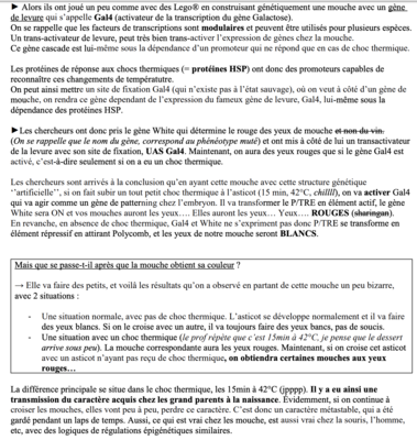 Capture d’écran 2019-11-15 à 13.31.48.png