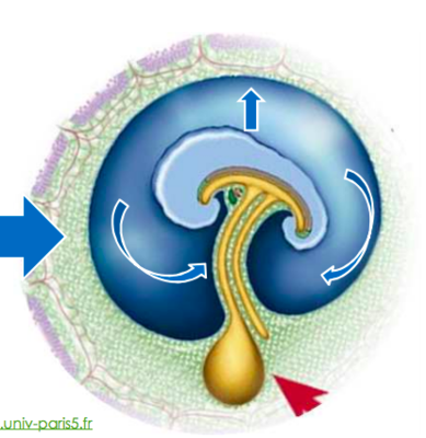 Capture d’écran 2019-11-16 à 10.42.08.png