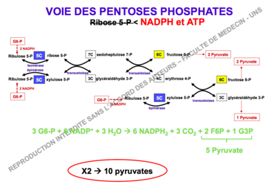 Capture d’écran 2019-11-17 à 09.47.22.png