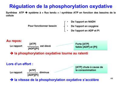 Capture d’écran 2019-11-17 à 22.52.04.png
