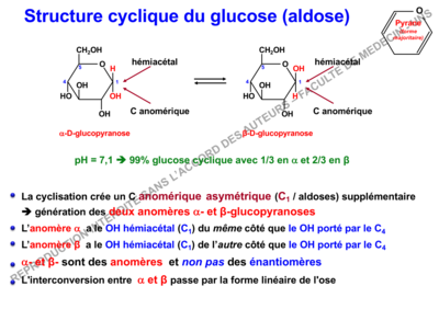 Capture d’écran 2019-11-18 à 09.50.45.png