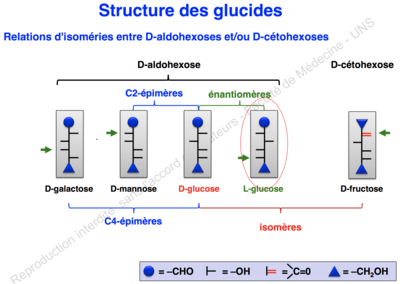 Capture d’écran 2019-11-18 à 09.59.45.png